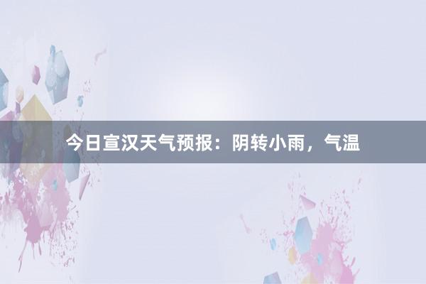 今日宣汉天气预报：阴转小雨，气温